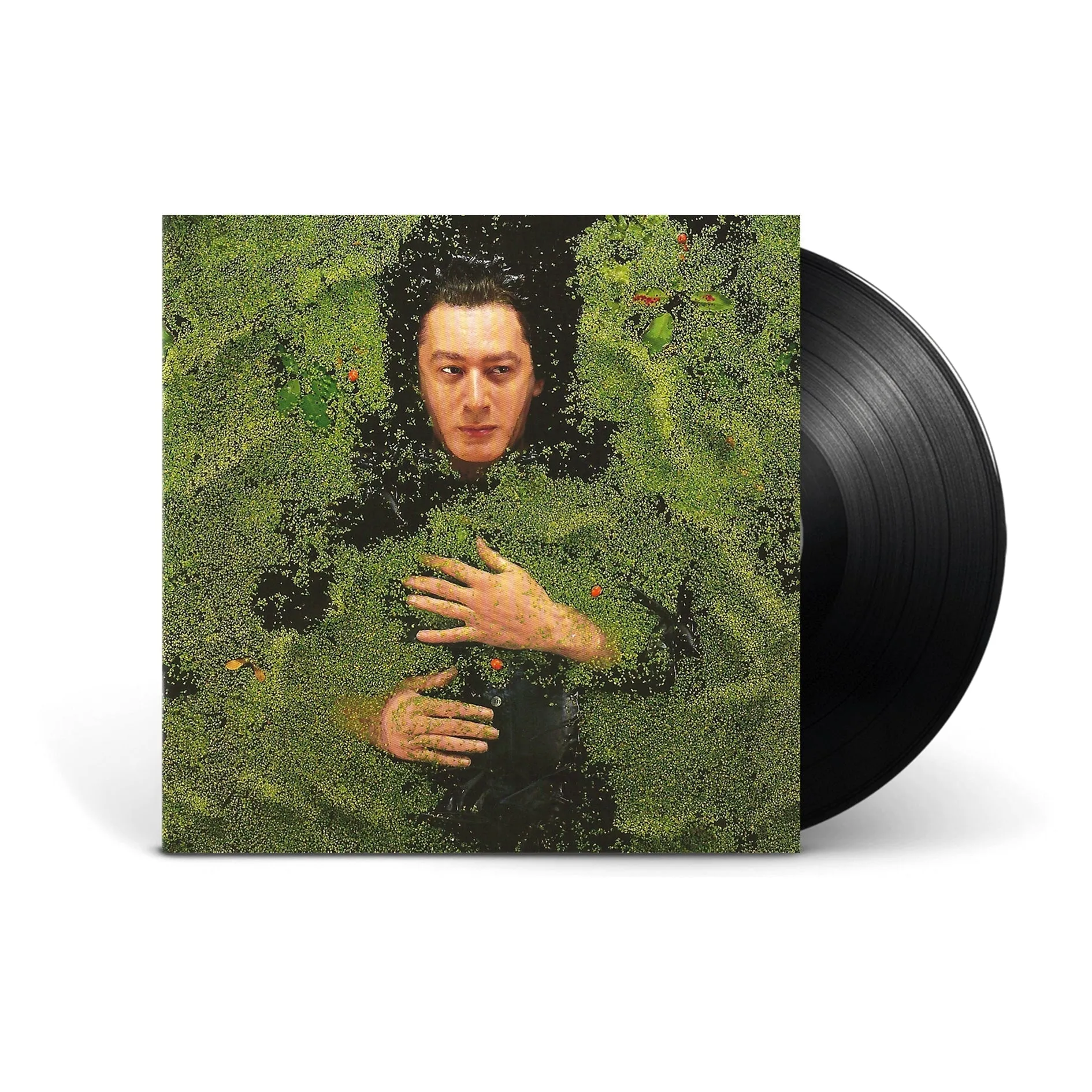 Alain Bashung - Fantaisie Militaire - Vinyle