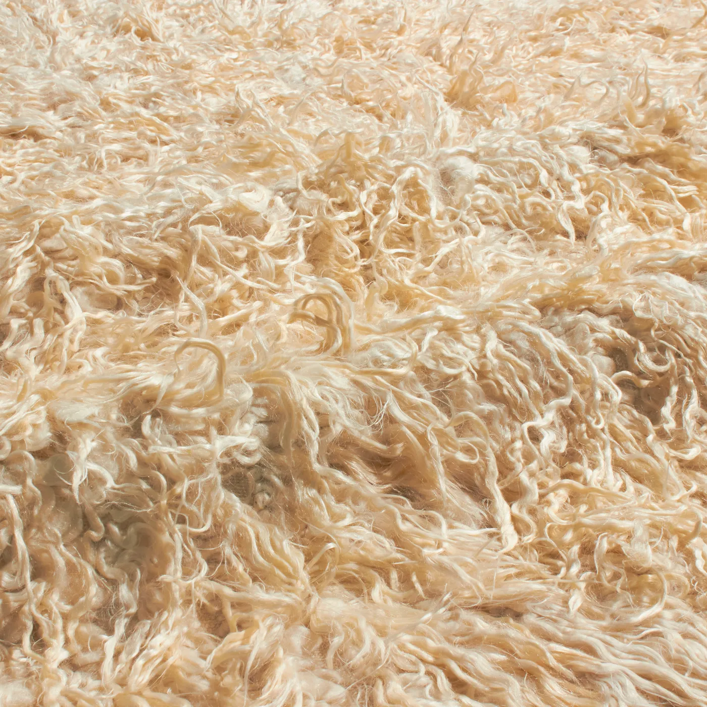 Angora Wool Tulu White