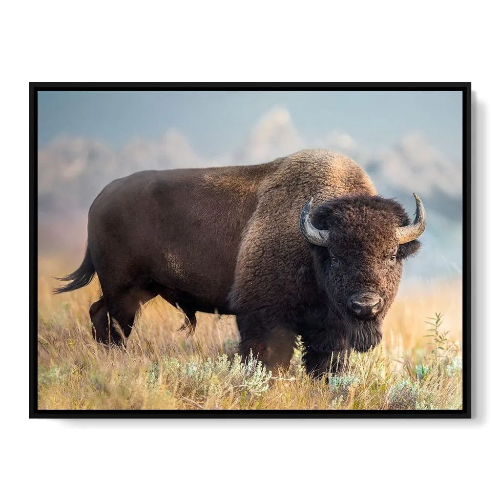 Bison 2 - Patsy Weingart